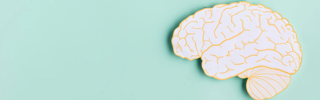 Forskning: Populært kosttilskud kan styrke din hjerne og hukommelse