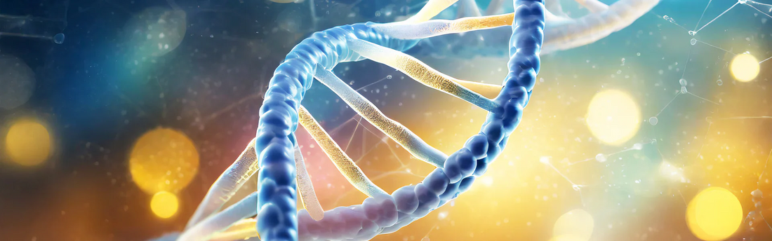 Han vil leve for evigt, og han er ved at nå sit mål: Her er hans hemmelighed