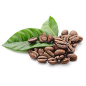 Caffeine