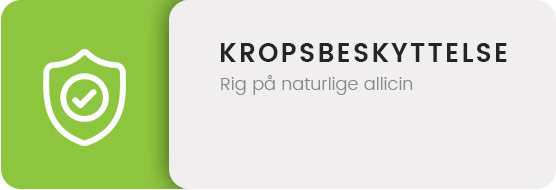 KROPSBESKYTTELSE KROPSBESKYTTELSE