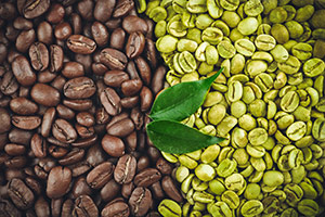 Alt du skal vide om grøn kaffe