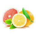 Citrus Bioflavonoids Citrus Bioflavonoids