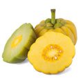 Garcinia Garcinia