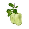 5-HTP 5-HTP