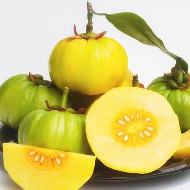 Er Garcinia Cambogia en slankepille?