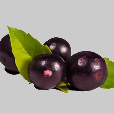 Hvordan skal jeg tilføje acai bær i min kost?
