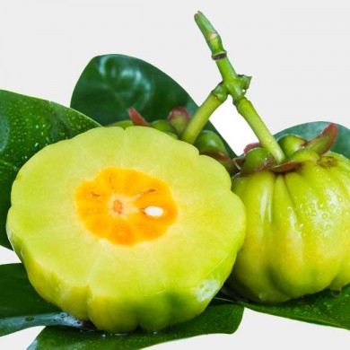 Garcinia Cambogia virker det?