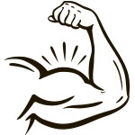 Muscles & Cells Muscles & Cells