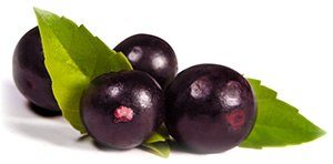 Acai bær i kosttilskud Acai bær i kosttilskud