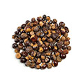 Image of Guarana Image of Guarana