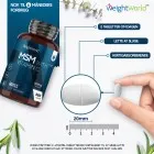 MSM med C-vitamin
