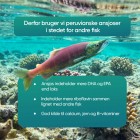 Vi bruger ansjos i vores omega3 fiskeolie