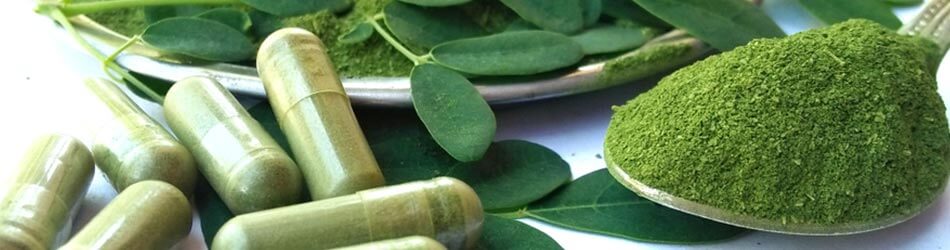 Moringa som kosttilskud er let at kende på sin flotte grønne farve, og let at tilføje dine daglige rutiner, da det findes i kapselform