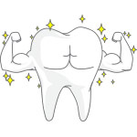 Bones & Teeth Bones & Teeth