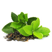 Green Tea Extract
