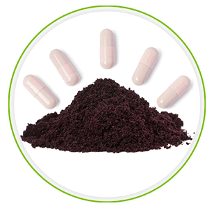 acai-berries-powder acai-berries-powder