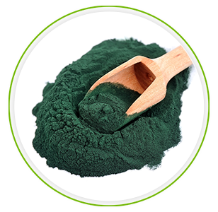 Immunsystem kosttilskud spirulina pulver 200g Immunsystem kosttilskud spirulina pulver 200g