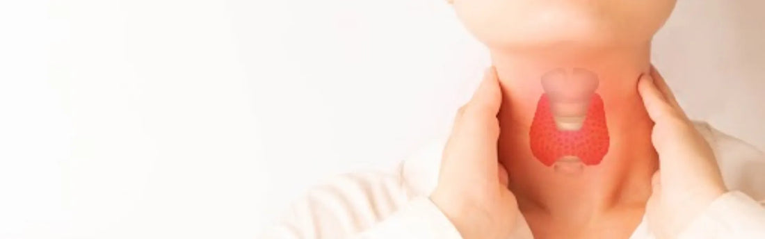 Servicemeddelse Omkring Jodtabletter