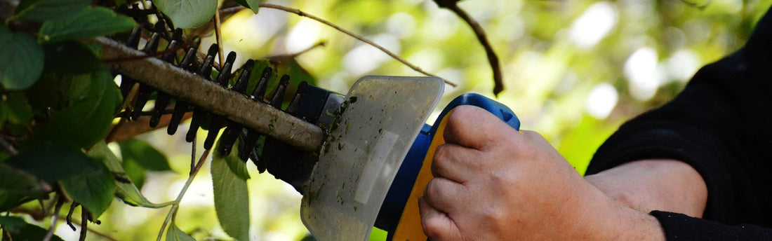 Derfor er havearbejde den bedste motionsform