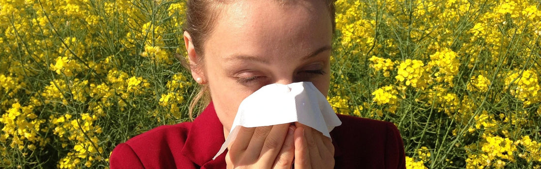 Kan man spise sig fri for allergisymptomer?