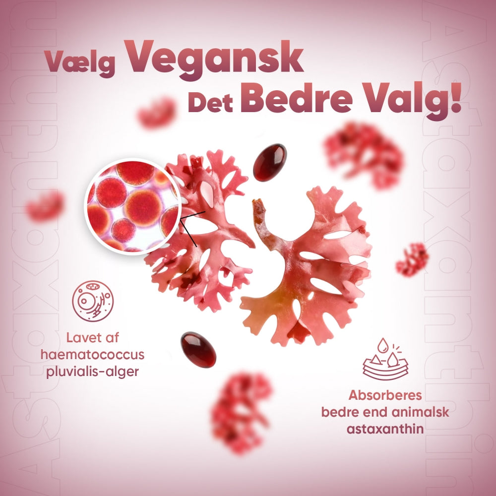 Astaxanthin 18 mg kapsler med røde softgels