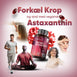 astaxanthin-caps-dk-05.jpg
