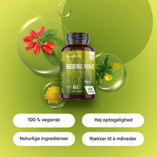 berberine-180-caps-dk-2