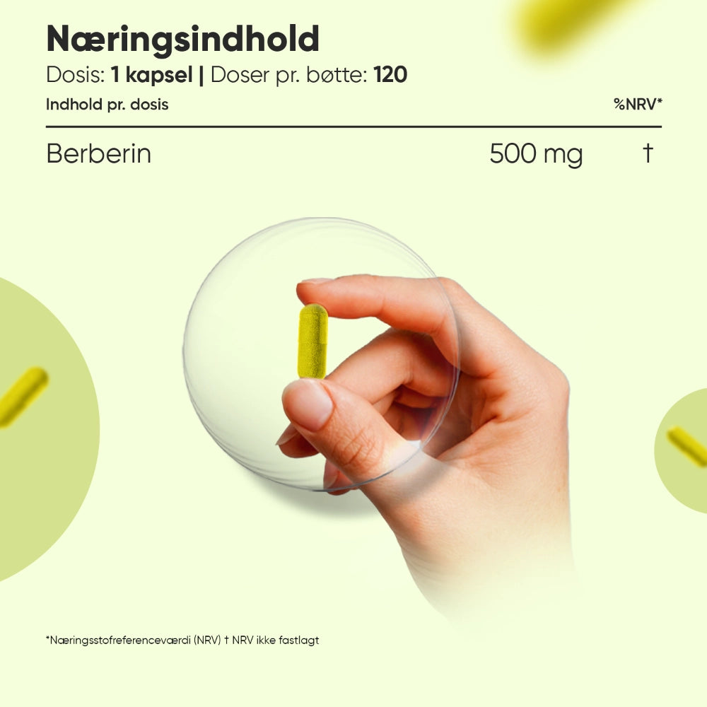 Berberine 500 mg kapsel i hånden, næringsindholdsskema på etiketten.