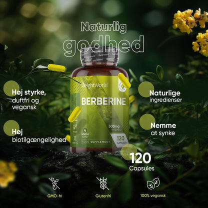 berberine-dk-new-03.jpg