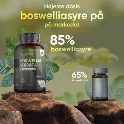 boswellia-serrata-dk-3.jpg