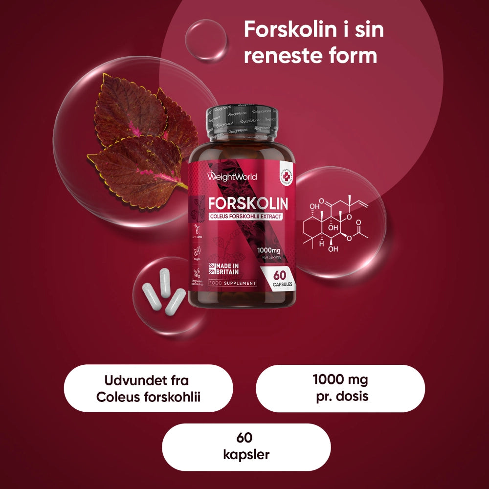 forskolin-capsules-dk-2