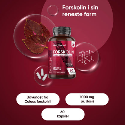 Forskolin 1000 mg