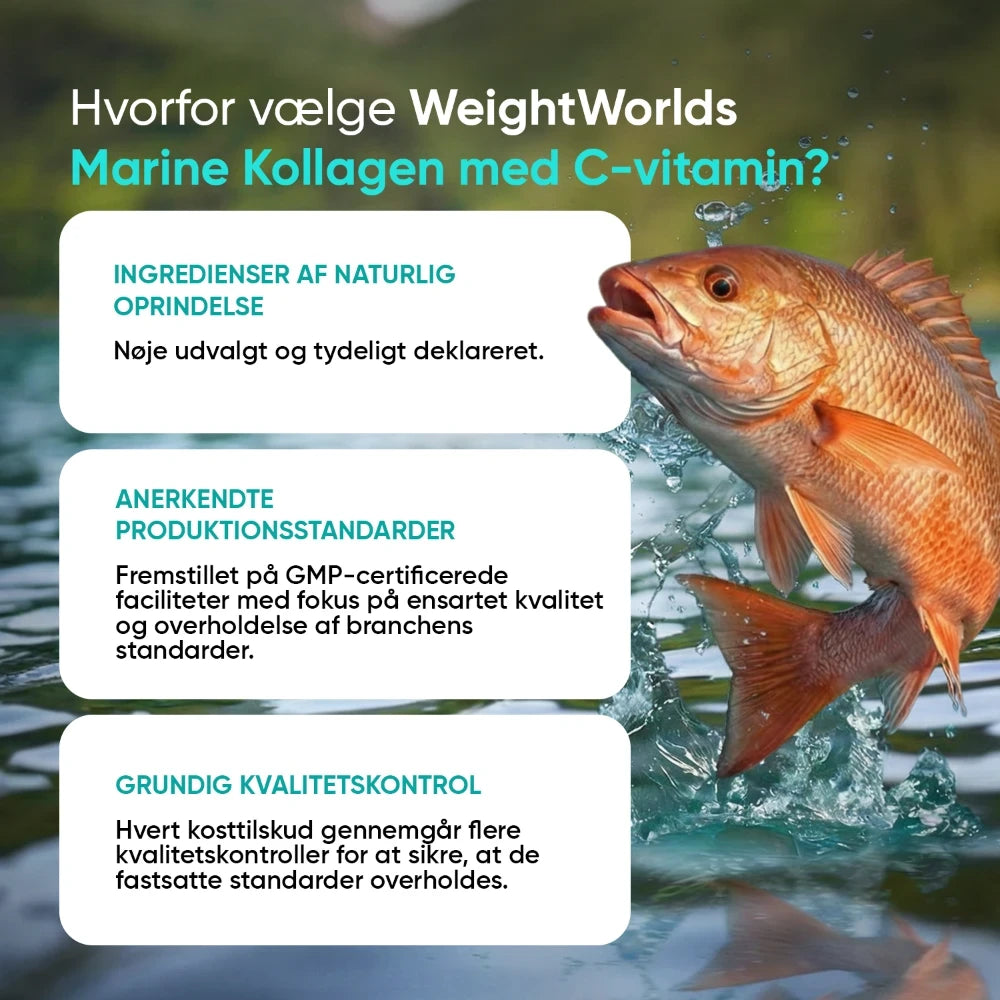 Marine kollagen + C-vitamin 1836 mg