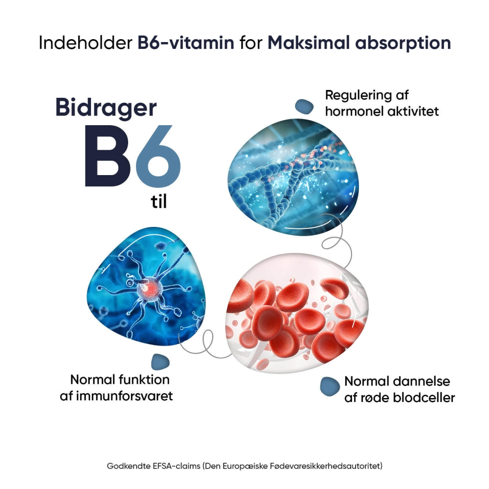 Marine Magnesium + B6-Vitamin