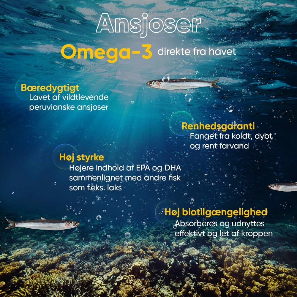 omega-3-fish-oil-dk-04.jpg