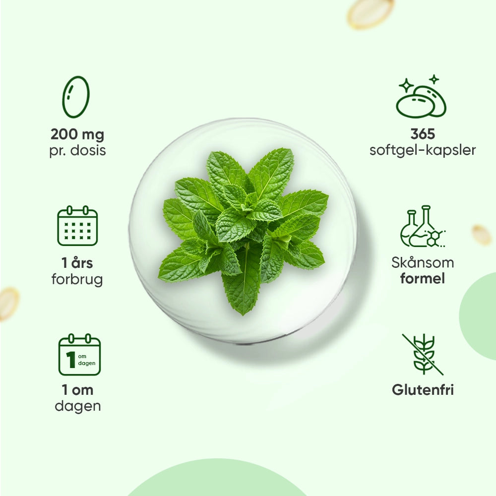 Pebermynteolie softgel-kapsler med mynteblade, 200 mg og 365 kapsler