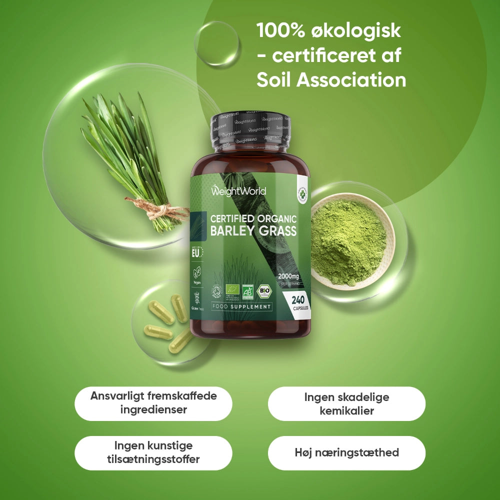 weightworld-dk-barley-grass-bottle-02