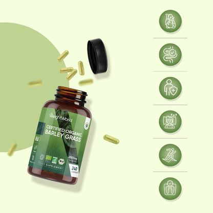 weightworld-dk-barley-grass-bottle-03