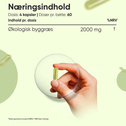 weightworld-dk-barley-grass-bottle-04