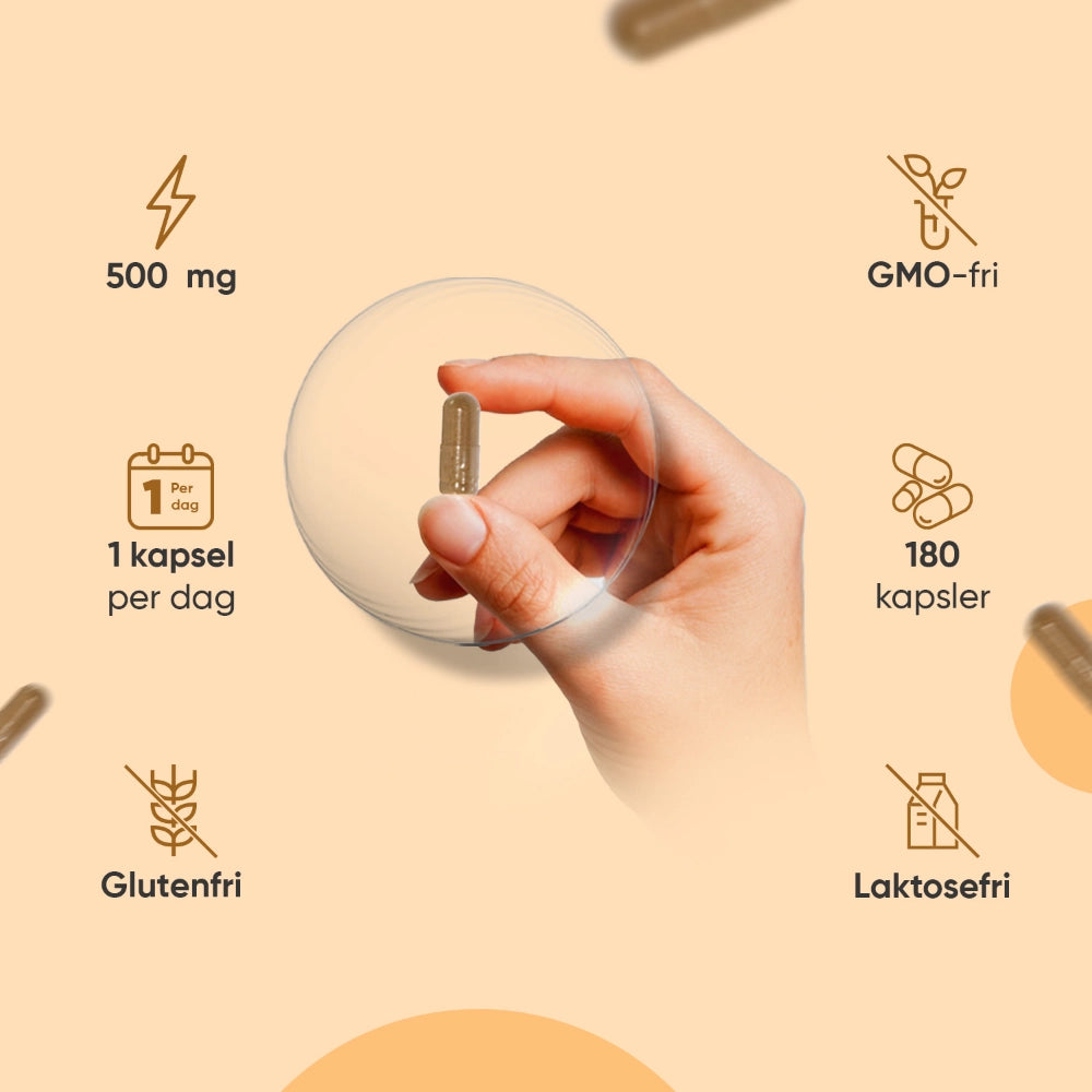 Curcumin + ingefær 500 mg