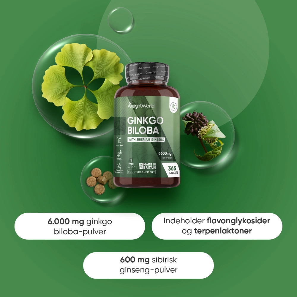 WeightWorld Ginkgo biloba-flaske omgivet af ginkgoblade, ginseng og tabletter
