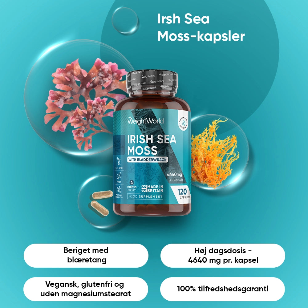 weightworld-dk-irish-sea-moss-capsules-bottle-02