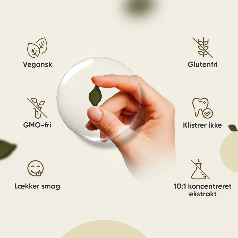 Hånd der holder mørke svampegummi-godter med vegansk og glutenfri ikoner