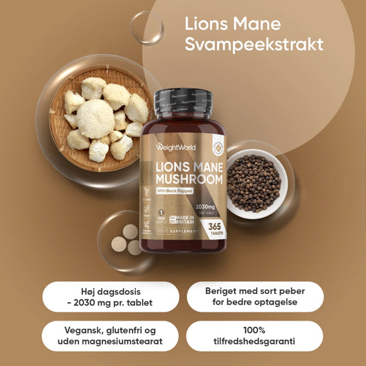 Lions Mane Tabletter 2030mg