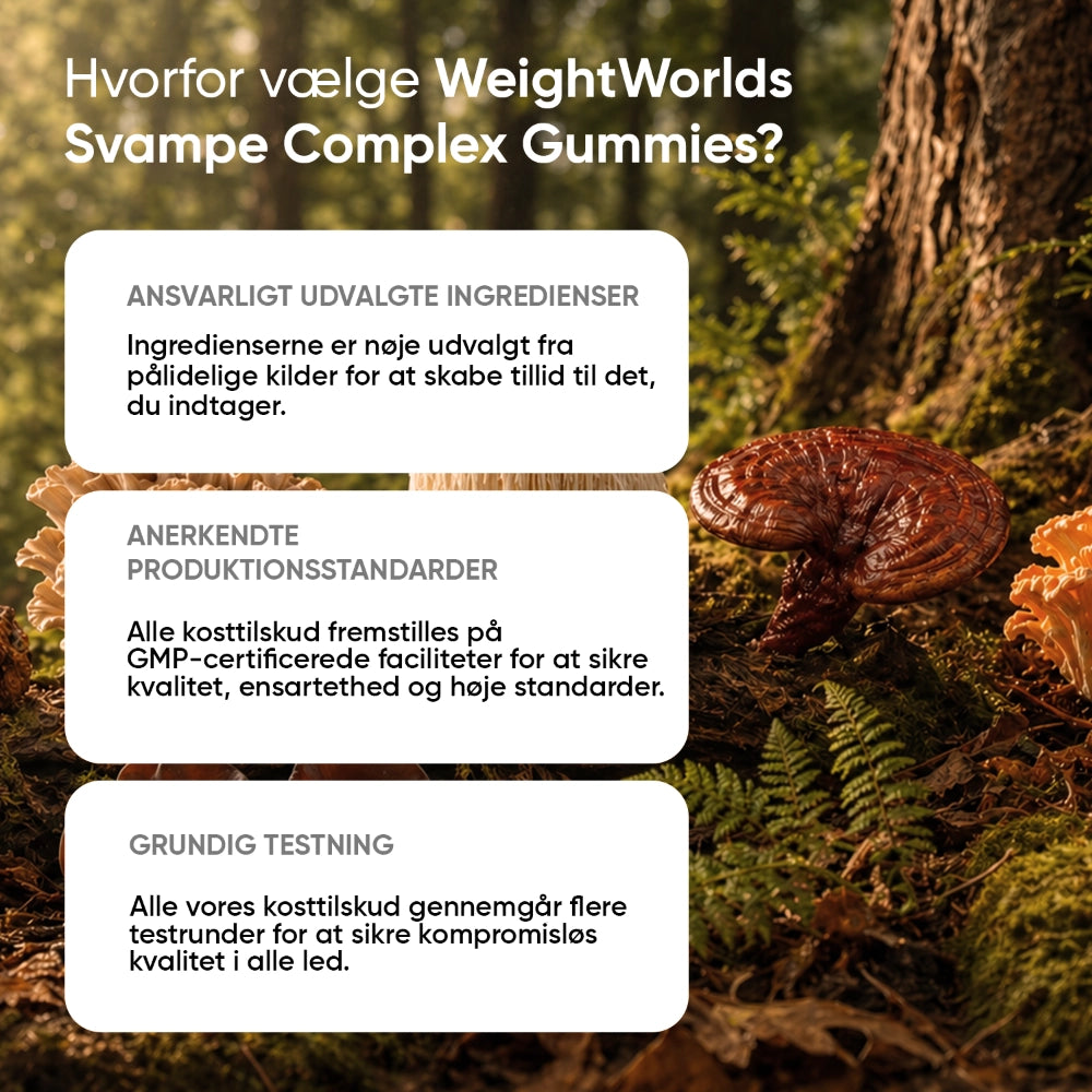 Svampe Complex Gummies
