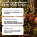 weightworld-dk-mushroom-complex-3