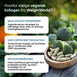 Vegansk Kollagen Advanced
