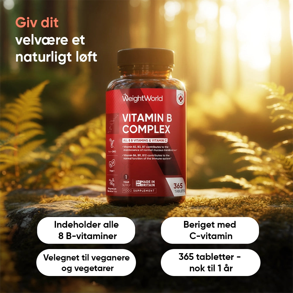 weightworld-dk-vitamin-b-complex-2