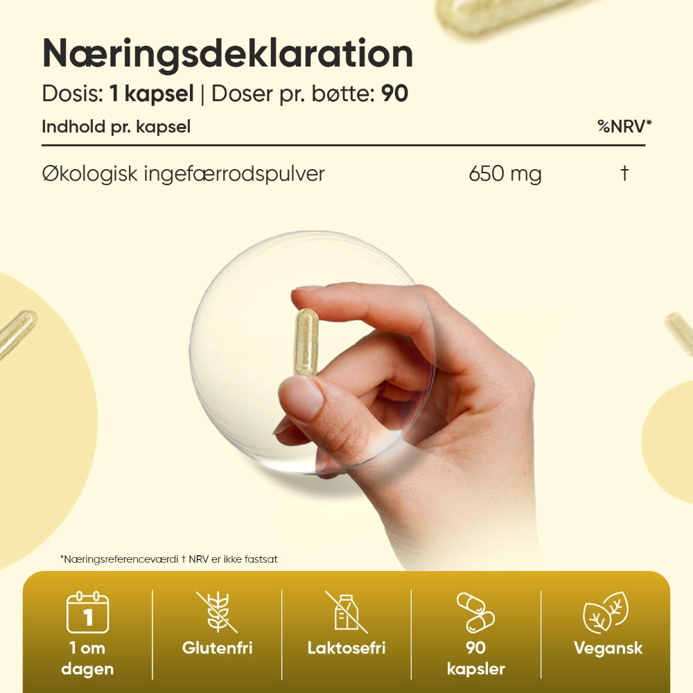 Økologisk ingefær 650 mg